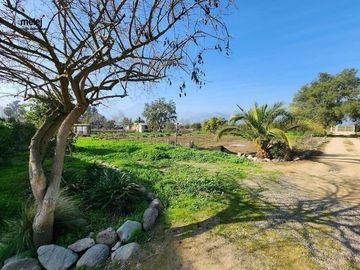 Venta Casa en Parcela de 8.000 m2 en Olmué