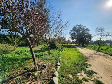 Venta Casa en Parcela de 8.000 m2 en Olmué