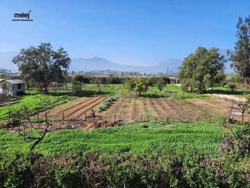 Venta Casa en Parcela de 8.000 m2 en Olmué