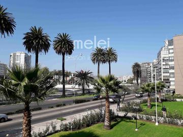 Venta hermoso y amplio Departamento en Avda. Marina