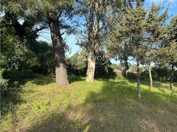 VENTA DE GALPON EN AMPLIO TERRENO