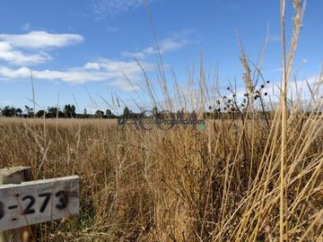 Parcela en Venta en PARCELA EN LA RESERVA DE FRUTILLAR/ CONDOMINIO CONSOLIDADO CON MARINA