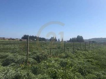 SITIO 5.000 MT2 EN CONDOMINIO BOSQUES DE MONTEMAR
