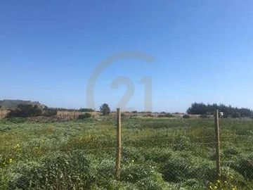 SITIO 5.000 MT2 EN CONDOMINIO BOSQUES DE MONTEMAR