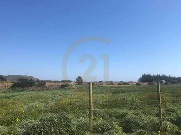 SITIO 5.000 MT2 EN CONDOMINIO BOSQUES DE MONTEMAR