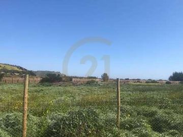 SITIO 5.000 MT2 EN CONDOMINIO BOSQUES DE MONTEMAR