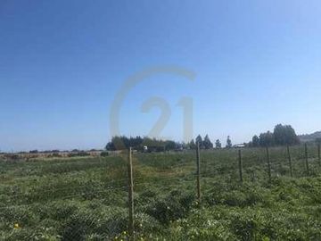 SITIO 5.000 MT2 EN CONDOMINIO BOSQUES DE MONTEMAR