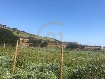SITIO 5.000 MT2 EN CONDOMINIO BOSQUES DE MONTEMAR