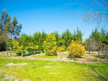 Parcela en Venta en Camino San Ignacio - Calera de Tango