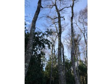 VENTA TERRENO VILLARRICA - NUEVA PUNTILLA