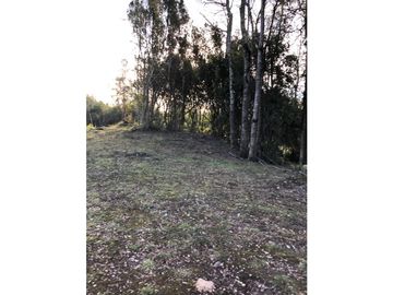 VENTA TERRENO VILLARRICA - NUEVA PUNTILLA