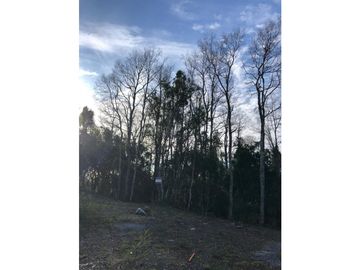 VENTA TERRENO VILLARRICA - NUEVA PUNTILLA