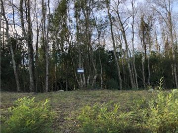 VENTA TERRENO VILLARRICA - NUEVA PUNTILLA