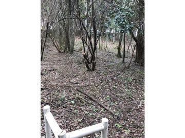 VENTA TERRENO VILLARRICA - NUEVA PUNTILLA