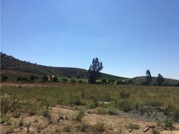 VENTA PARCELAS HACIENDA VIÑEDOS CASABLANCA DESDE UF 2.200