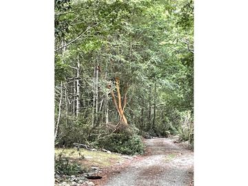 VENTA CASA - DOMOS / PANGUIPULLI - LIQUIÑE / Tierra Indígena