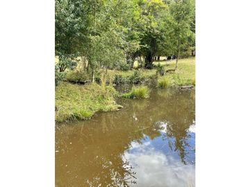 VENTA CASA - DOMOS / PANGUIPULLI - LIQUIÑE / Tierra Indígena