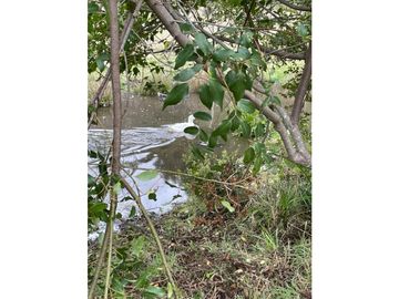 VENTA CASA - DOMOS / PANGUIPULLI - LIQUIÑE / Tierra Indígena