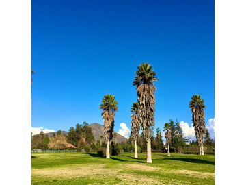 VENTA CASA TALAGANTE - LAS PALMAS DEL OLIVETO