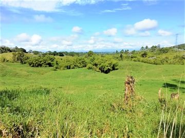 VENTA de FINCAS en PEREIRA