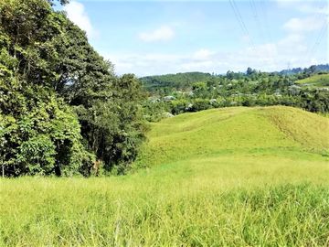VENTA de FINCAS en PEREIRA