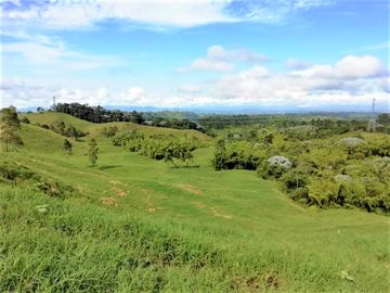 VENTA de FINCAS en PEREIRA