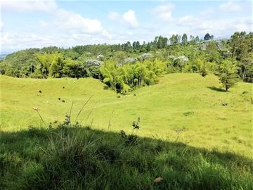 VENTA de FINCAS en PEREIRA