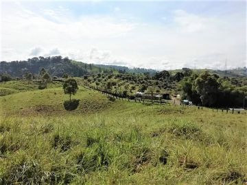 VENTA de FINCAS en PEREIRA