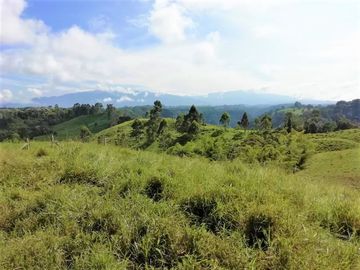 VENTA de FINCAS en PEREIRA