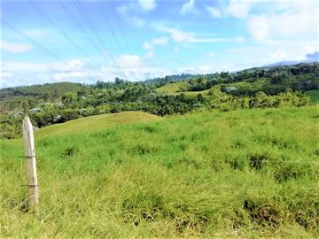 VENTA de FINCAS en PEREIRA