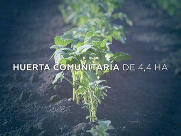 RBS. Divino lote central en barrio, 