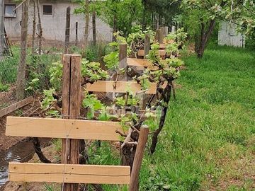 Parcela en Venta en Camino San Ignacio