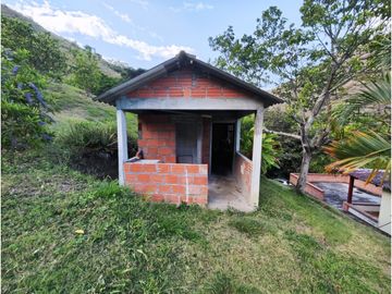 FINCA PRODUCTORA AGUACATE EN VENTA VIJES AMS.6749532