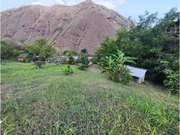 FINCA PRODUCTORA AGUACATE EN VENTA VIJES AMS.6749532