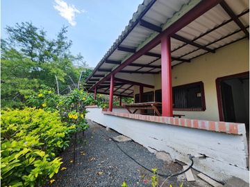 FINCA PRODUCTORA AGUACATE EN VENTA VIJES AMS.6749532