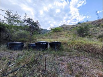 FINCA PRODUCTORA AGUACATE EN VENTA VIJES AMS.6749532