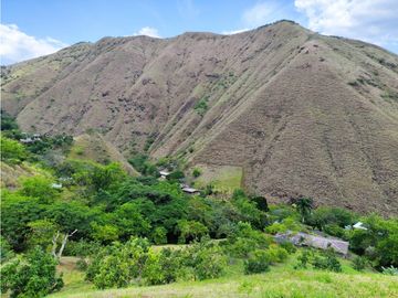 FINCA PRODUCTORA AGUACATE EN VENTA VIJES AMS.6749532