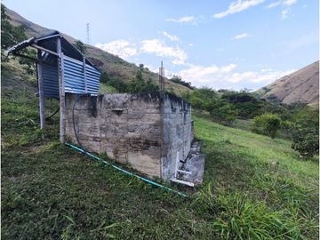 FINCA PRODUCTORA AGUACATE EN VENTA VIJES AMS.6749532