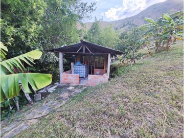 FINCA PRODUCTORA AGUACATE EN VENTA VIJES AMS.6749532