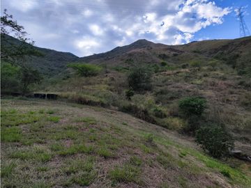 FINCA PRODUCTORA AGUACATE EN VENTA VIJES AMS.6749532