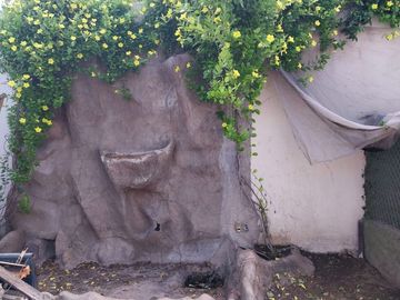 CASA EN VENTA EN COLONIA DIAZ ORDAZ