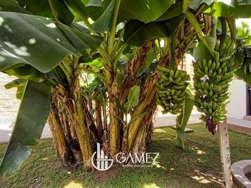 CAMPESTRE EN VENTA  EN YEBAVITO