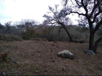 Increíbles Terrenos de 1500 m² En venta San Eugenio