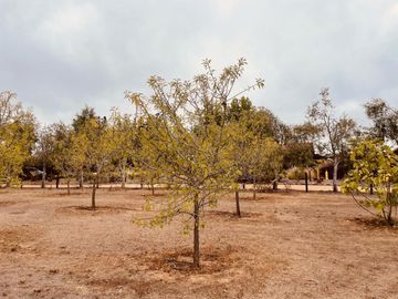 Gran Casa en San Jose, Algarrobo