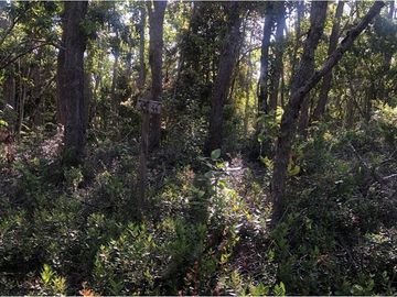 ¡Imperdible terreno en Cobquecura!