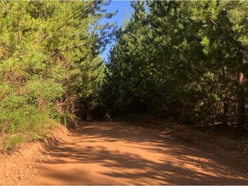 ¡Imperdible terreno en Cobquecura!
