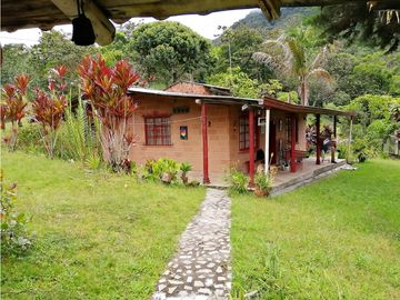 VENTA FINCA  VEREDA LA TEBAIDA SAN LUIS ANTIOQUIA