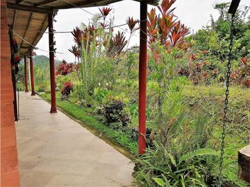 VENTA FINCA  VEREDA LA TEBAIDA SAN LUIS ANTIOQUIA