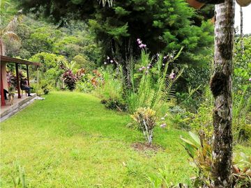 VENTA FINCA  VEREDA LA TEBAIDA SAN LUIS ANTIOQUIA