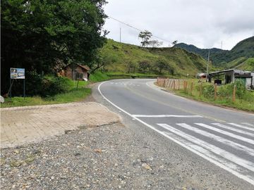 VENTA FINCA  VEREDA LA TEBAIDA SAN LUIS ANTIOQUIA